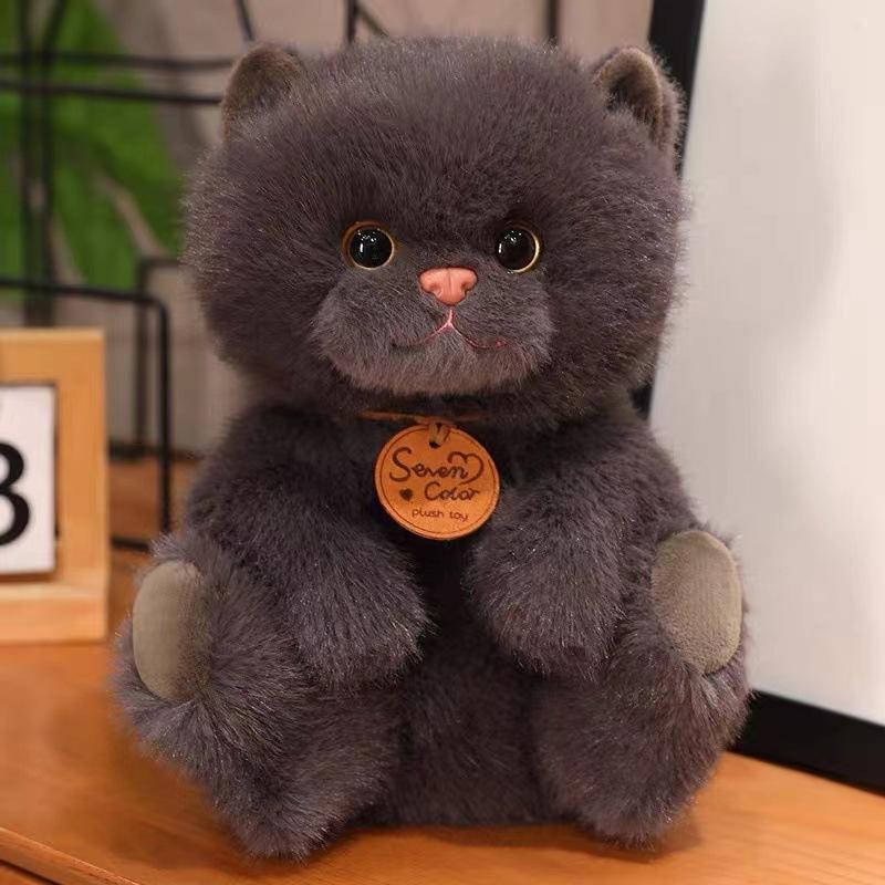 Plush & Stuffed Animals |  Bt Chaps Freddy The British Shorthair Cat Plush In Giftbox – 6.5″ Plush & Stuffed Animals Plush & Stuffed Animals