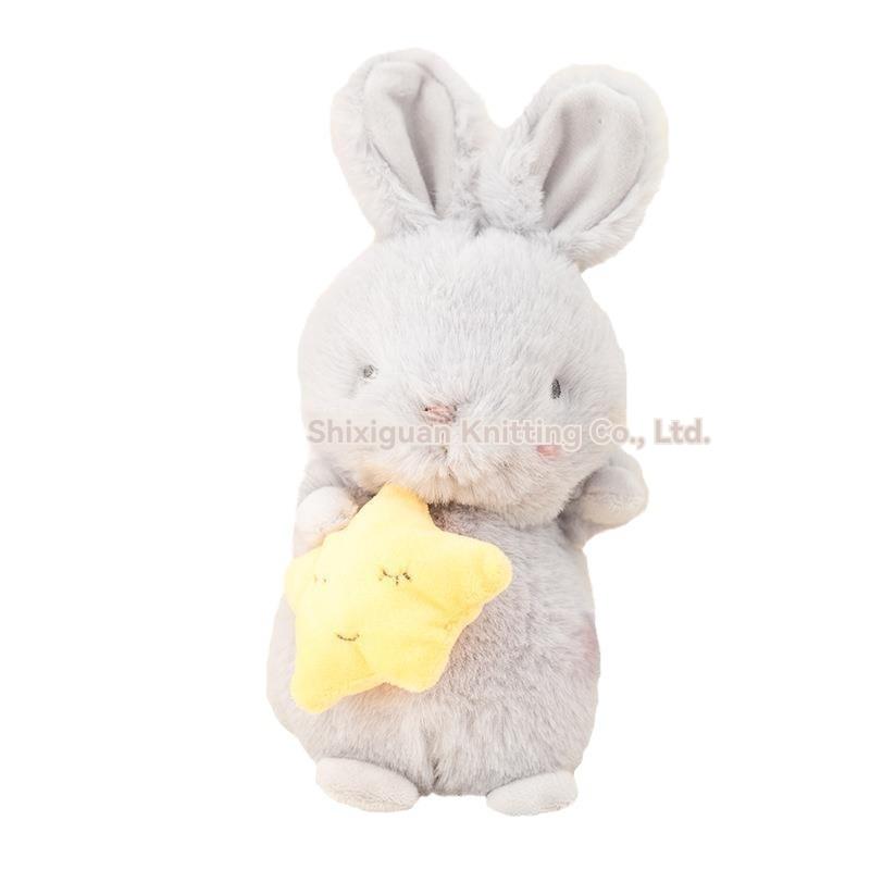 Preschool |  Little Sunshine Bloom Bunny  Book & Plush Bundle Baby & Toddler Baby & Toddler